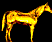 aqha.gif
